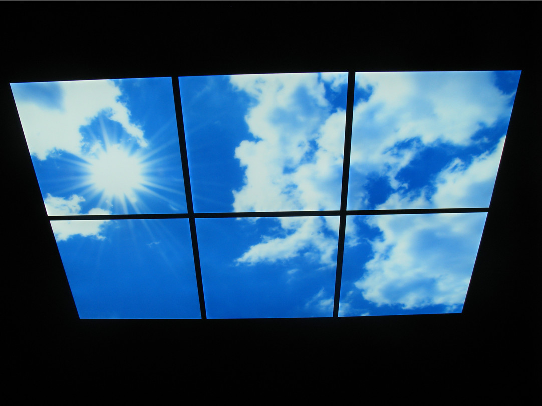 PAINTED LED PANEL LIGHT